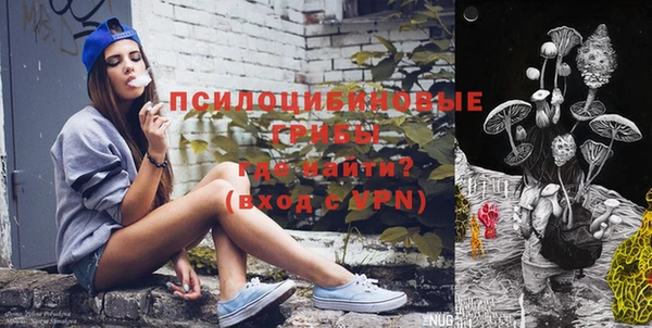 PSILOCYBIN Алзамай