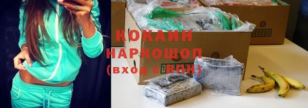 дживик Алексин
