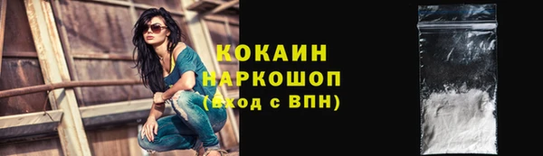 PSILOCYBIN Алзамай