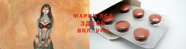 PSILOCYBIN Алзамай