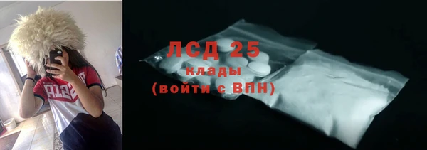 PSILOCYBIN Алзамай