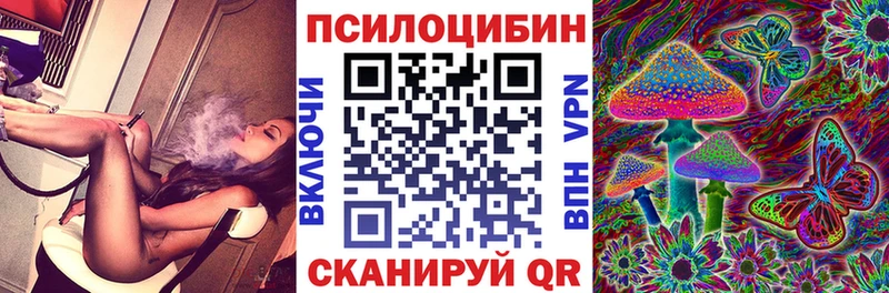 Галлюциногенные грибы Cubensis  где найти наркотики  Тайшет 