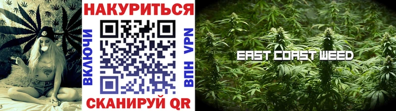 Бошки Шишки план  hydra ТОР  Тайшет 